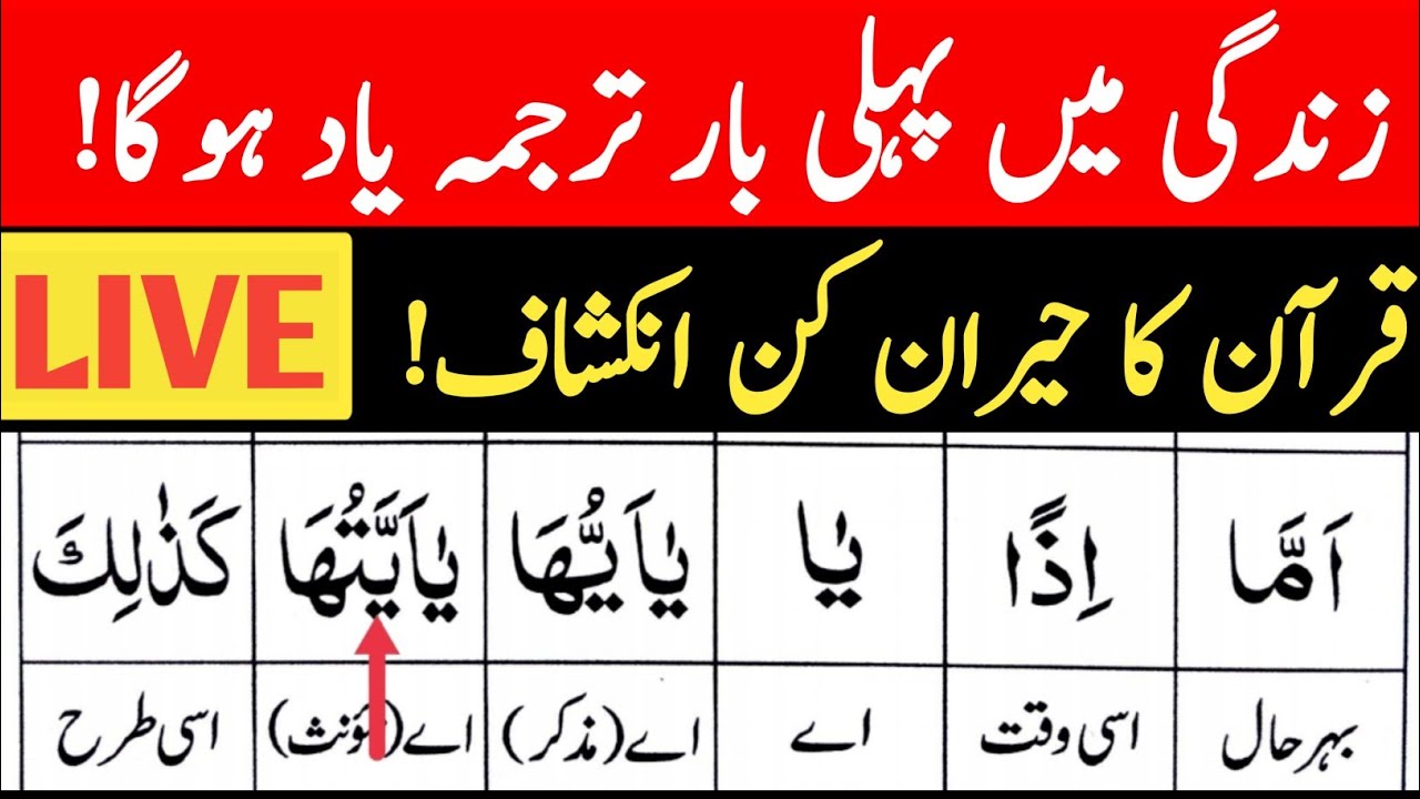 Qurani Arabic | Word-for-Word Quran)