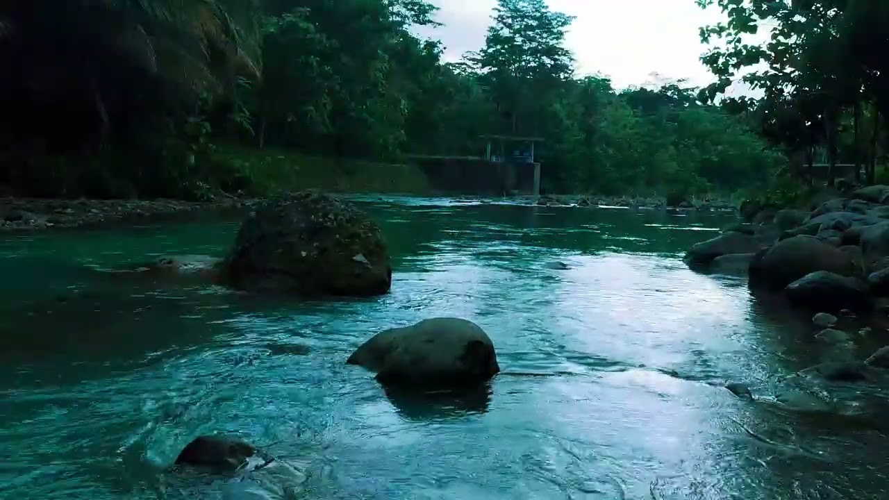 Peaceful Flowing River Sounds – Natural ASMR for Focus and Study