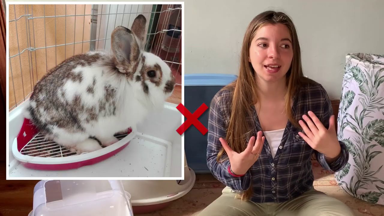 TUDO SOBRE O BANHEIRO DE COELHOS - OPÇÕES BOAS VS OPÇÕES MÁS + ABSORVENTES & LIMPEZA DO WC