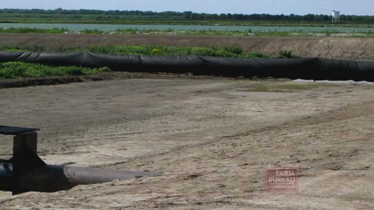 Split Pond Catfish Farming - Arkansas Farm Bureau