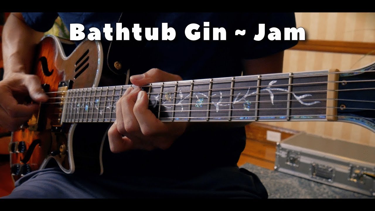 Bathtub Gin - Jeff Williams Guitar Jam - Phish
