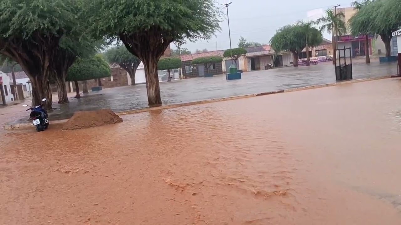 Mais chuva ☂️! Por aqui, chuva é sempre bem vinda.