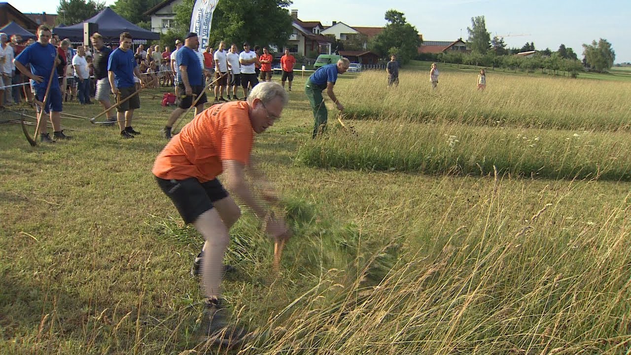 Landsberg TV -  Sensenmähwettbewerb 2017 der VR Bank Landsberg-Ammersee