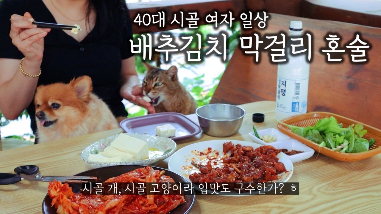 40대 시골 여자ㅣ배추김치 담가서 혼술ㅣ텃밭 털어 반찬 만들기 대작전 (ft. 제피잎, 머위, 깻잎, 마늘쫑 뽑기 )