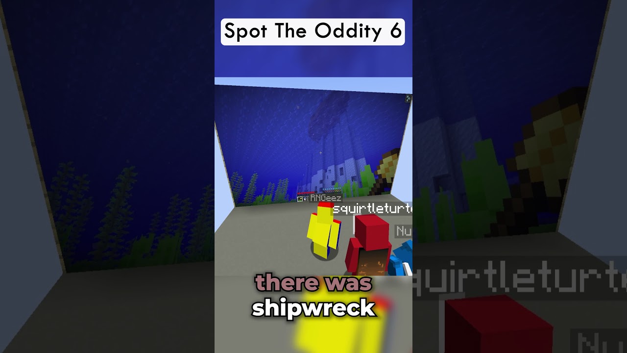Znajdź osobliwość 6