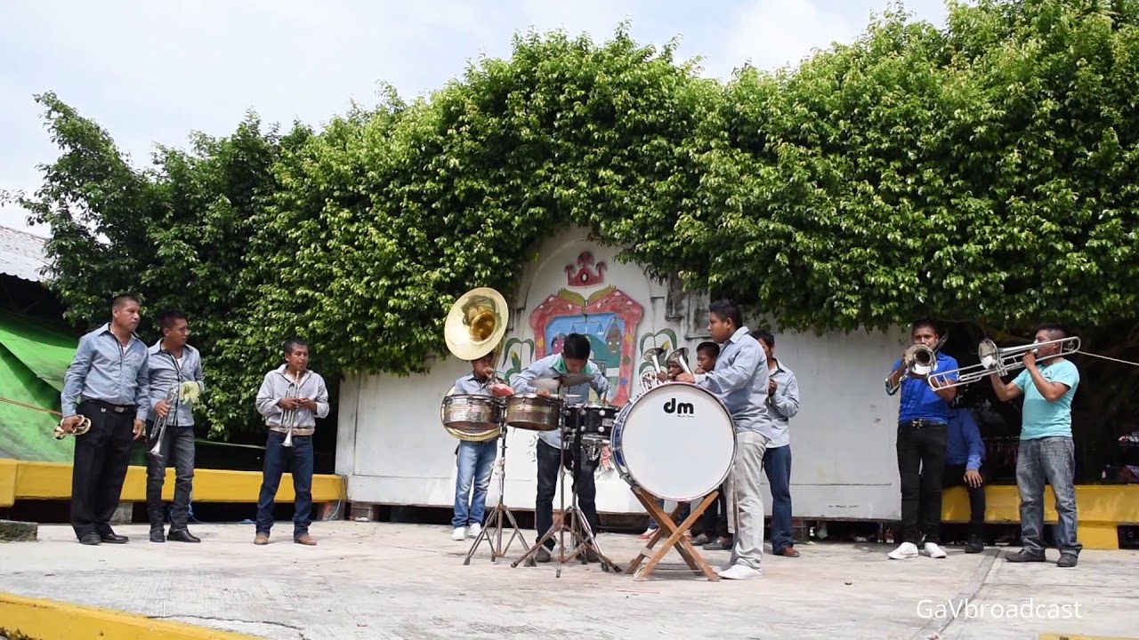 Pura Banda de Viento (El Torito, El Apasionado, El Sinaloense y Xochipitzahuatl)