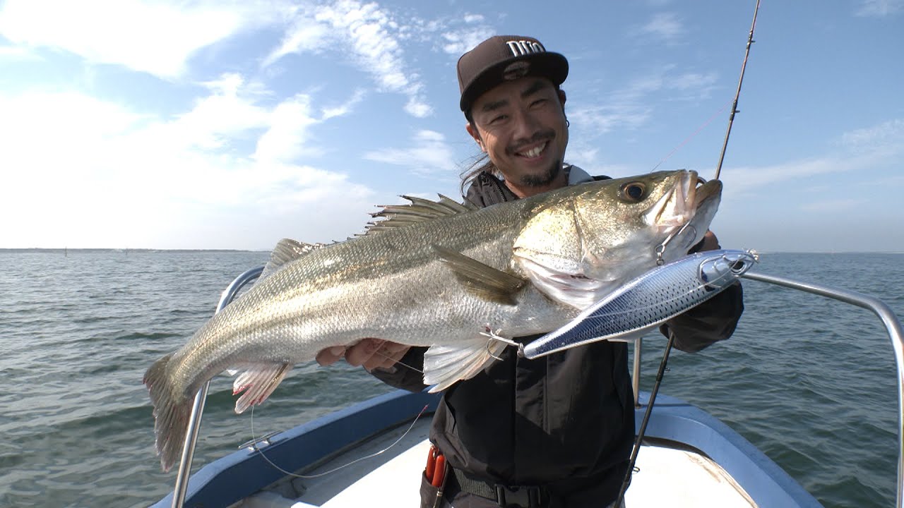 ビッグベイトゲームの魅力・東京湾のシーバス～FISHING DOOR～