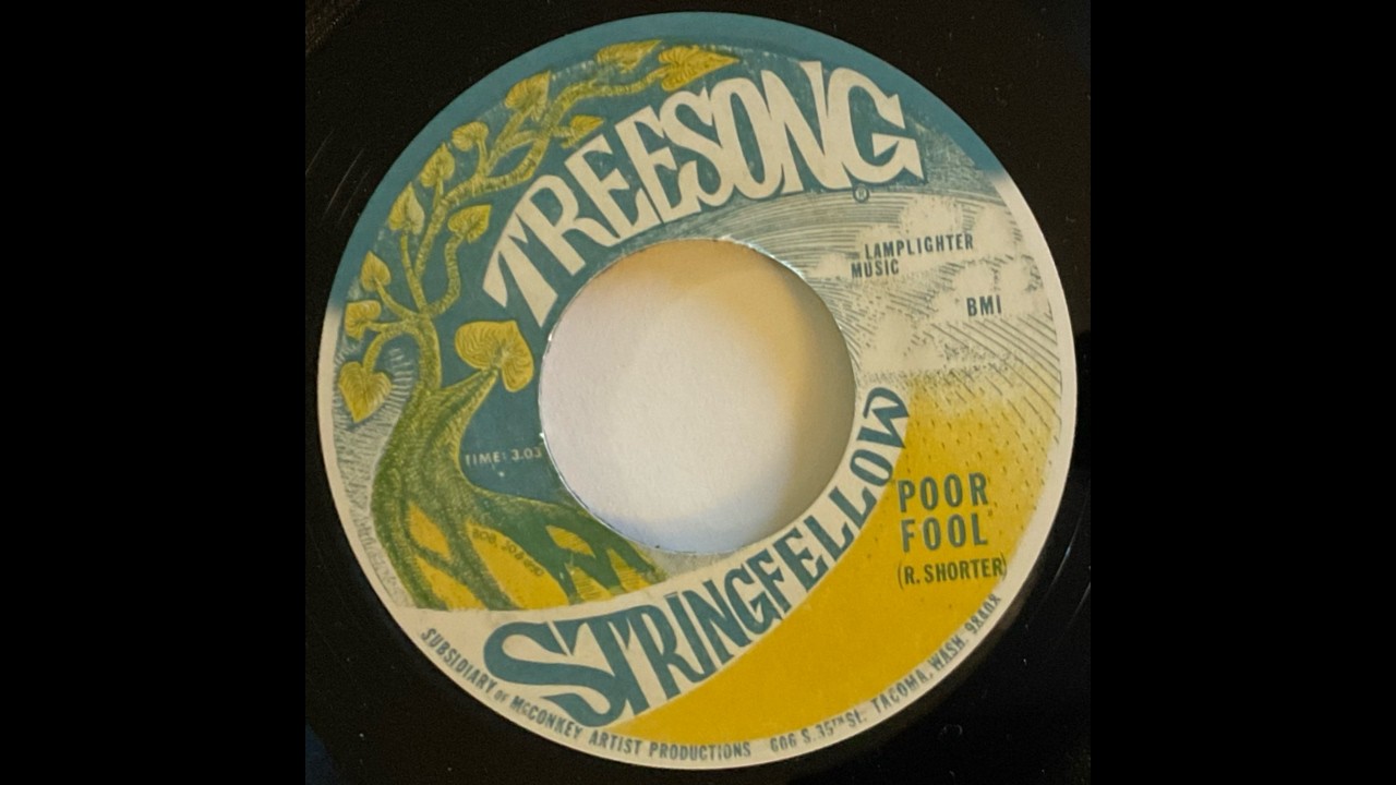 Stringfellow 