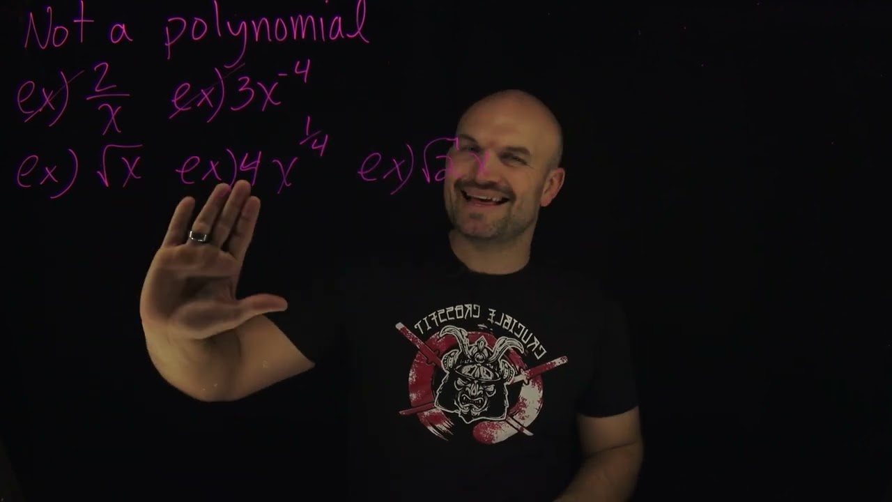 What is a polynomial and what is not