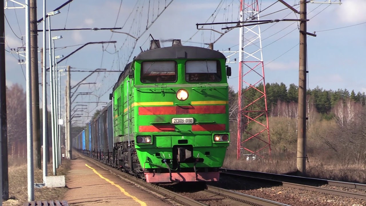 Тепловоз 2ТЭ10У-0190 на о.п. Доле / 2TE10U-0190 passing Dole stop