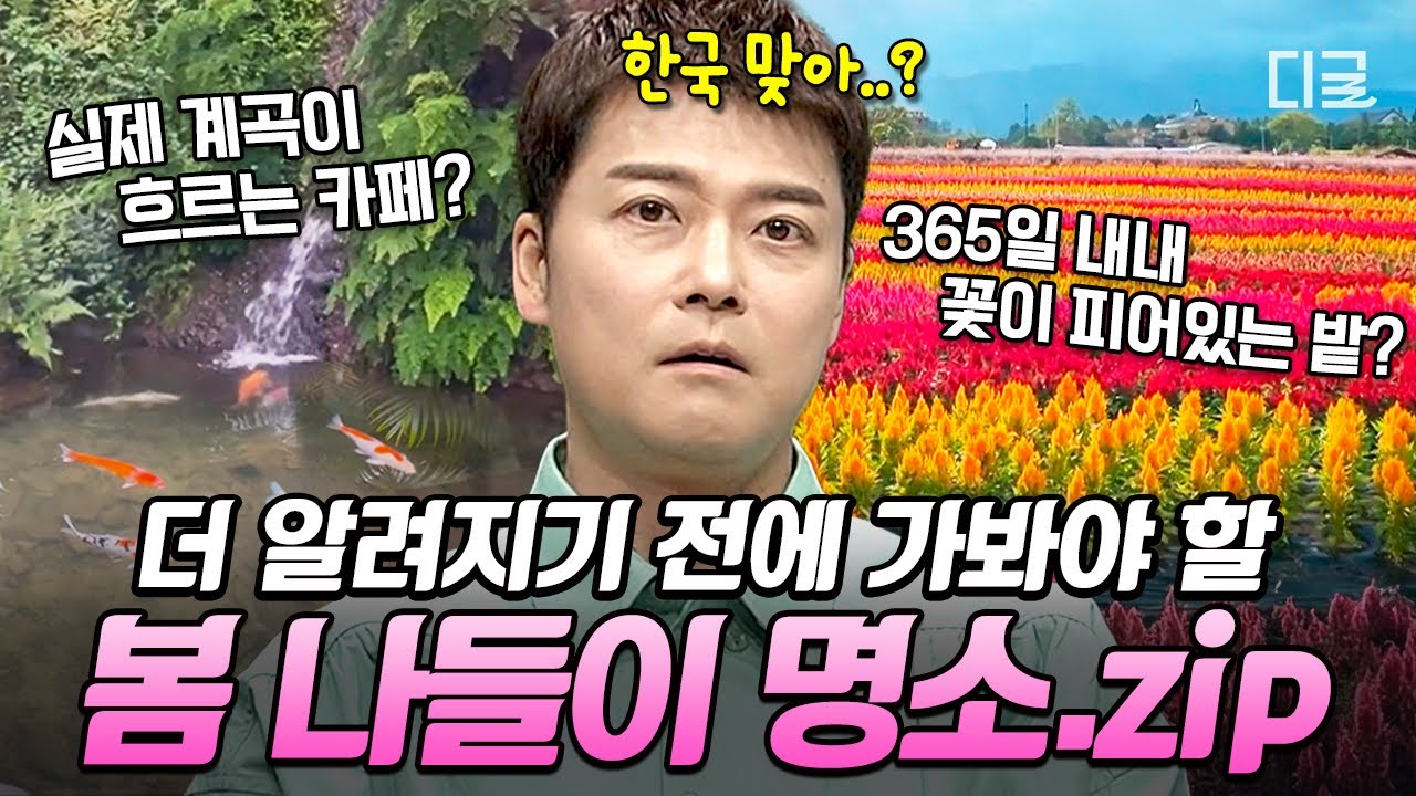 [#프리한19] 🌷봄 맞이 인생샷 명소 추천🌷 국내에서 떠나는 중세 유럽 여행부터 SNS 봄 핫플까지✨