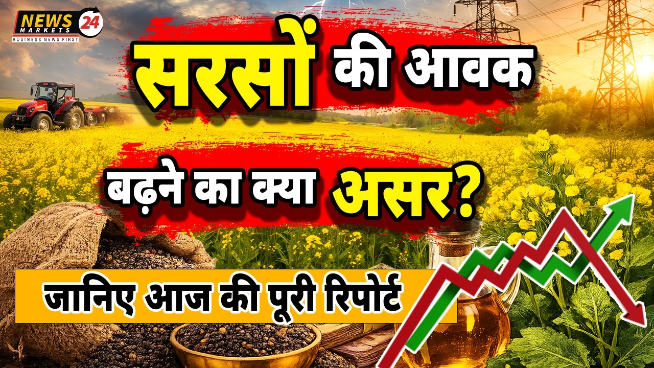 सरसो की आवक बढ़ी! 🌾📉 | क्या पड़ेगा भावों पर असर?