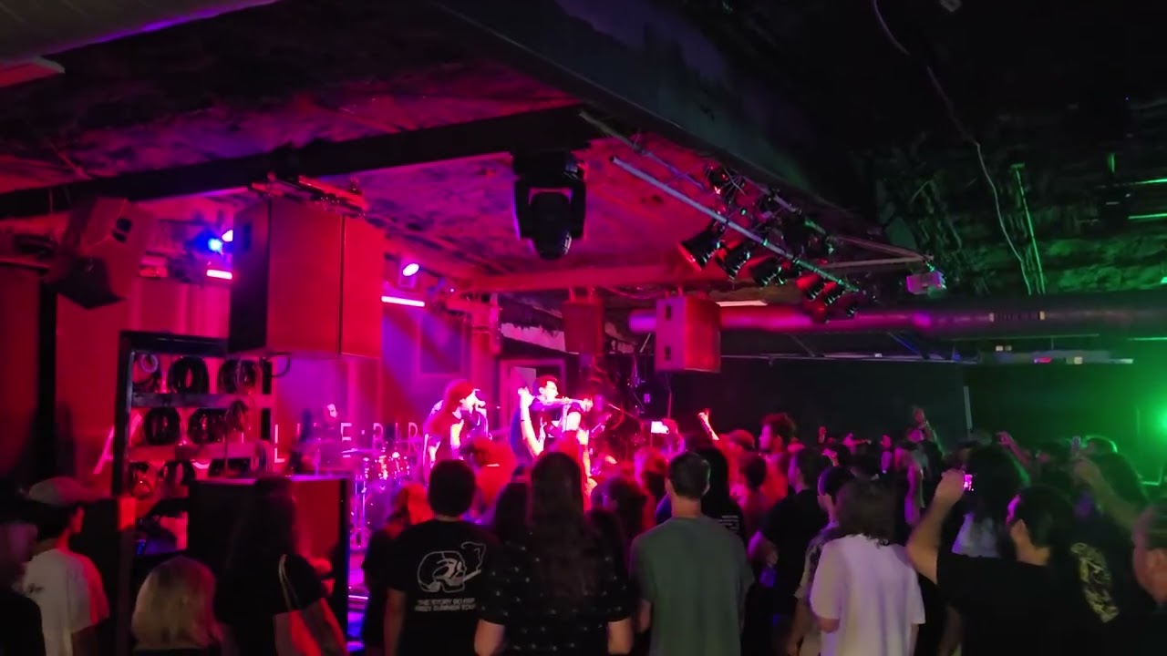 A Lot Like Birds - When In Love (live)