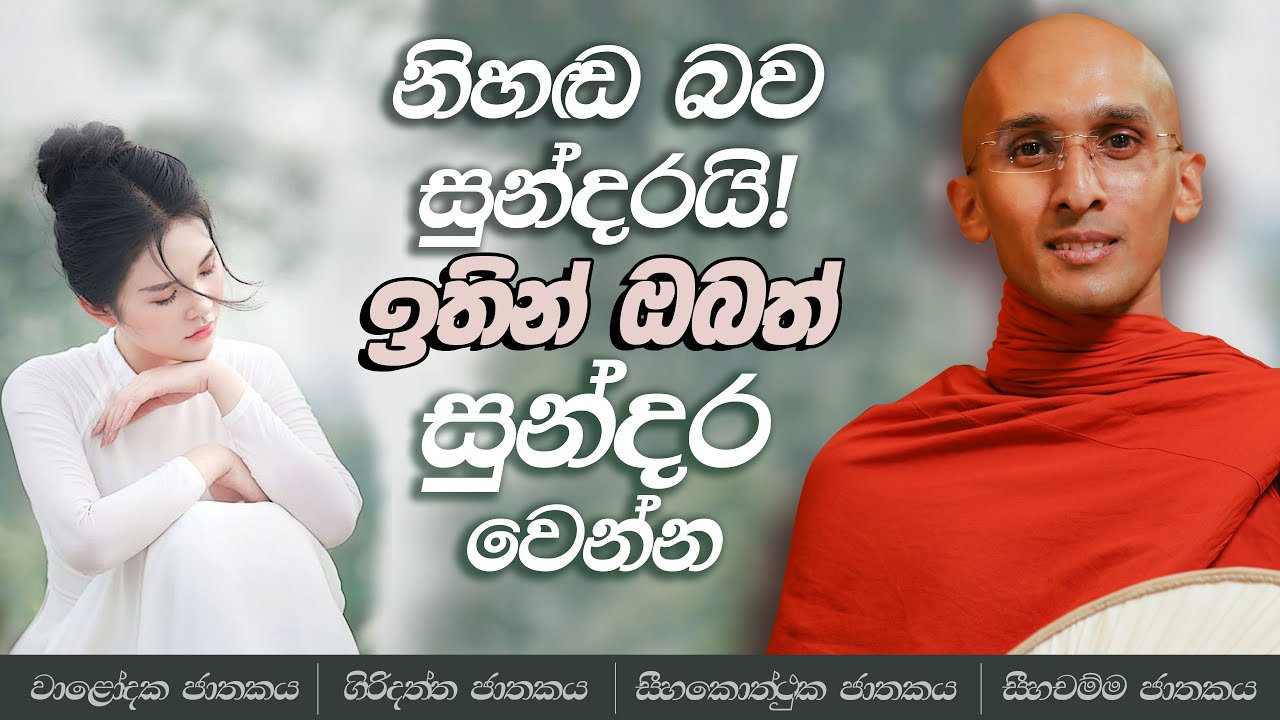 98. නිහඬ බව සුන්දරයි! ඉතින් ඔබත් සුන්දර වෙන්න | වාළෝදක ජාතකය | ගිරිදත්ත ජාතකය | සීහකොත්ථුක ජාතකය