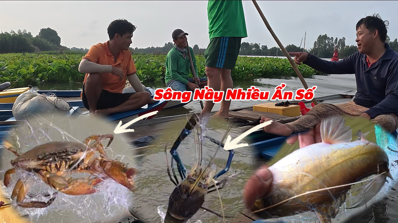 Săn Tìm Cá Có Giá Trị Cao Vùng Nước Lợ Trúng Bầy Cá Rỡ Mỏi Tay / Định Nguyễn Hậu Giang
