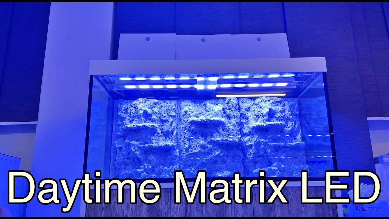 Step by step Doku: Aufbau 600 L MEERWASSER Becken &ndash; Teil 3.1 Daytime Matrix LED