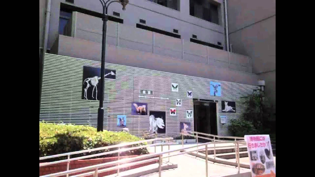 日本大学歌集