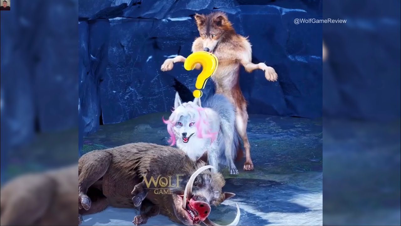 Обзор рекламы Wolf Game 🛡️🐺: Защитите свою стаю от захватчиков!