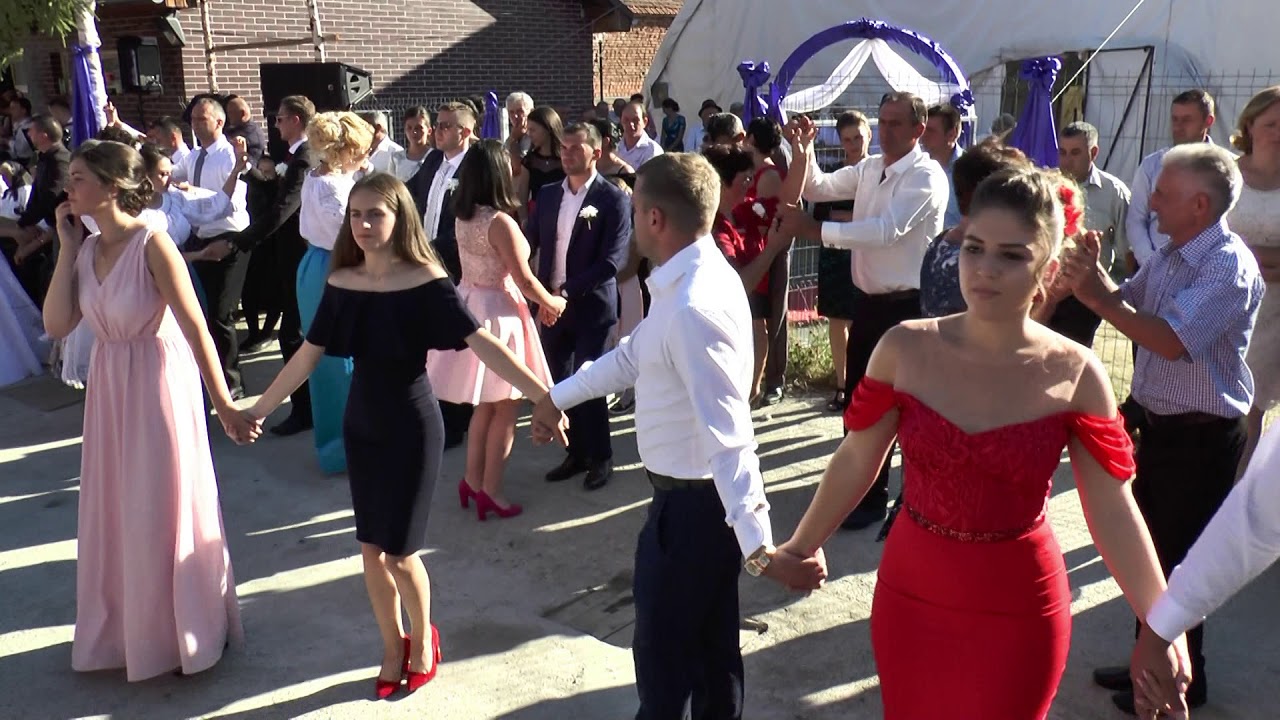 ION DRAGOMIR PAPU PROGRAM ARDELEANA NUNTA GHEORGHE & LENUTA VERENDIN 2017