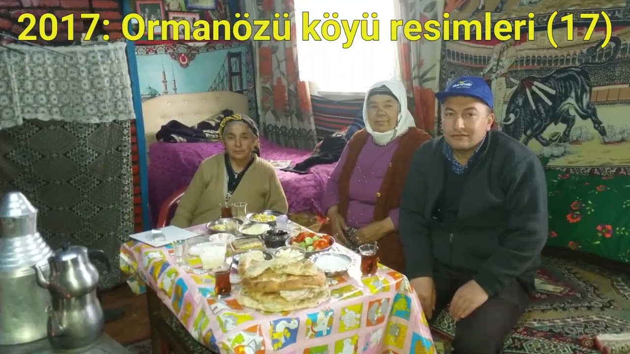 Ormanözü köyü 2017: resimleri (17)