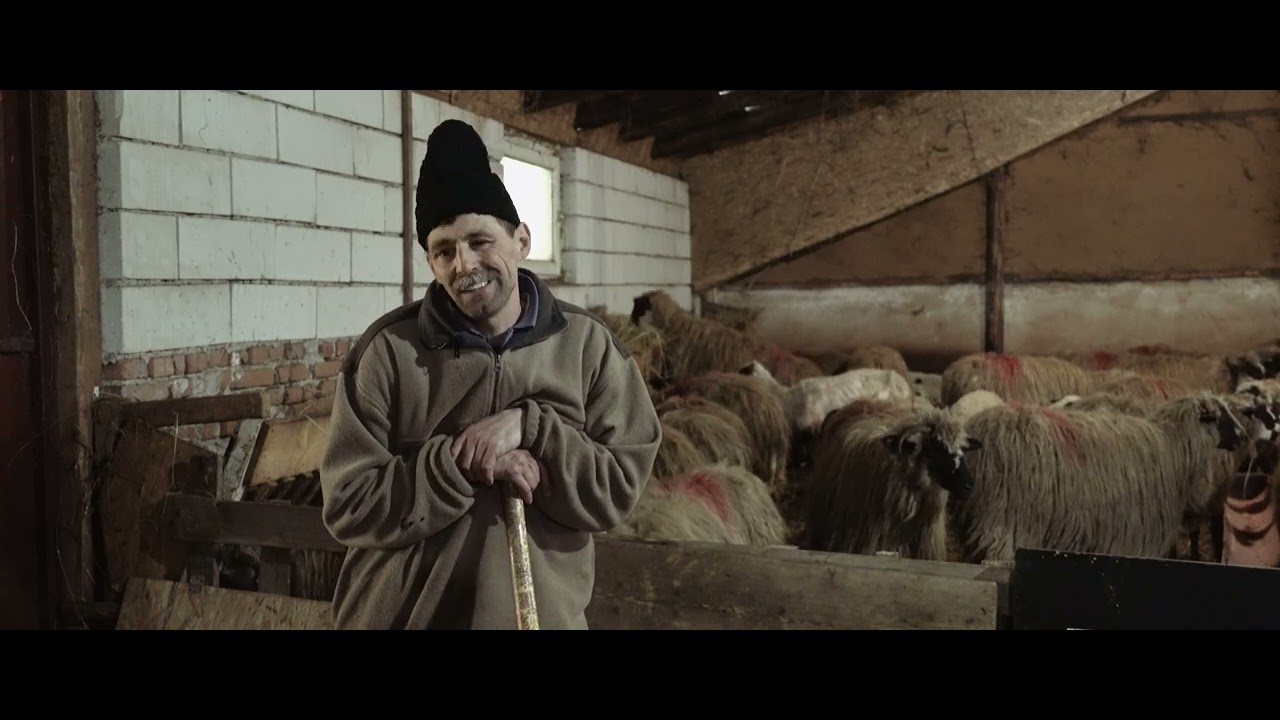 Călători în lumea Muntelui - Apusenii - film documentar păstorit - 2024