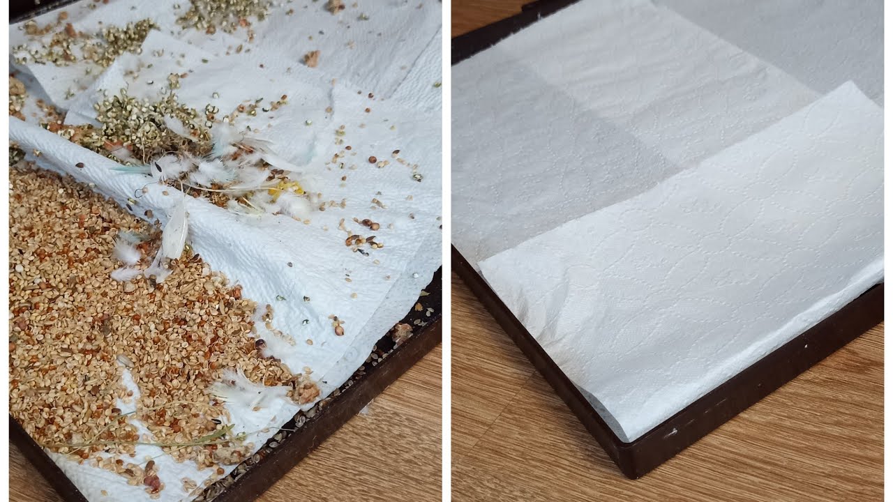 Filmik ogarniający||Sprzątanie, mycie, życie🧼🧽🧹