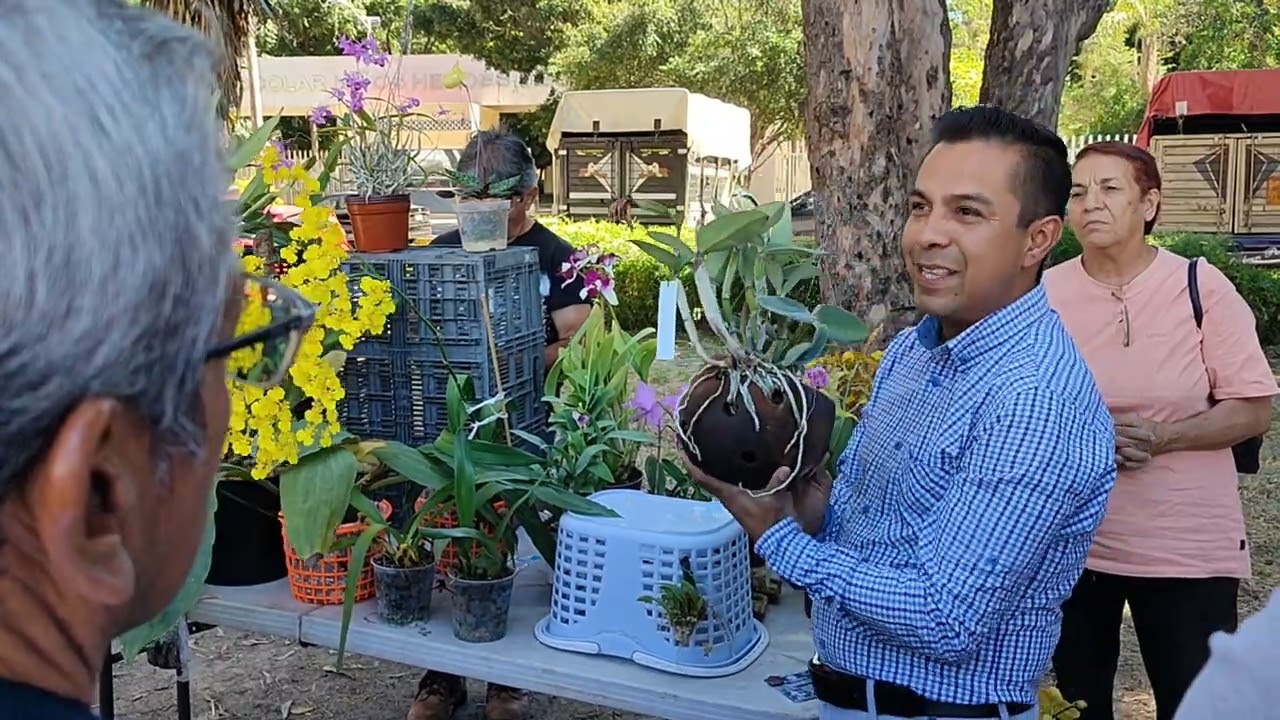 Charla sobre Orquídeas Catleya en AMO sección Puebla
