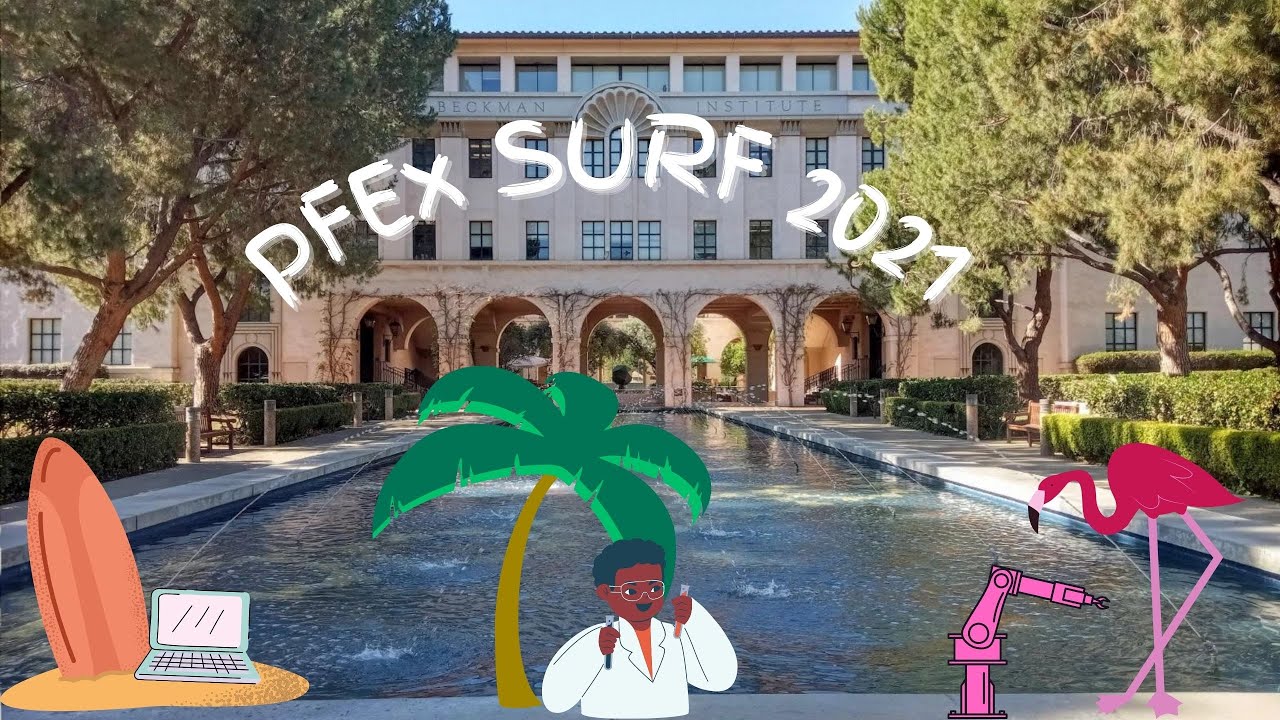PFEx 2021: Sharing our SURF Experiences