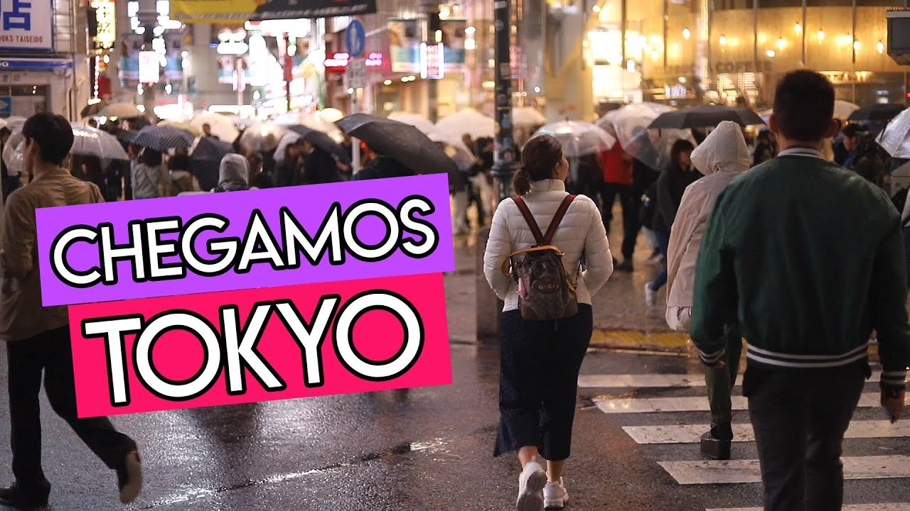 MEU LUGAR FAVORITO NO MUNDO ✨🇯🇵 TOKYO | Vlog da Alegria no Japão 3
