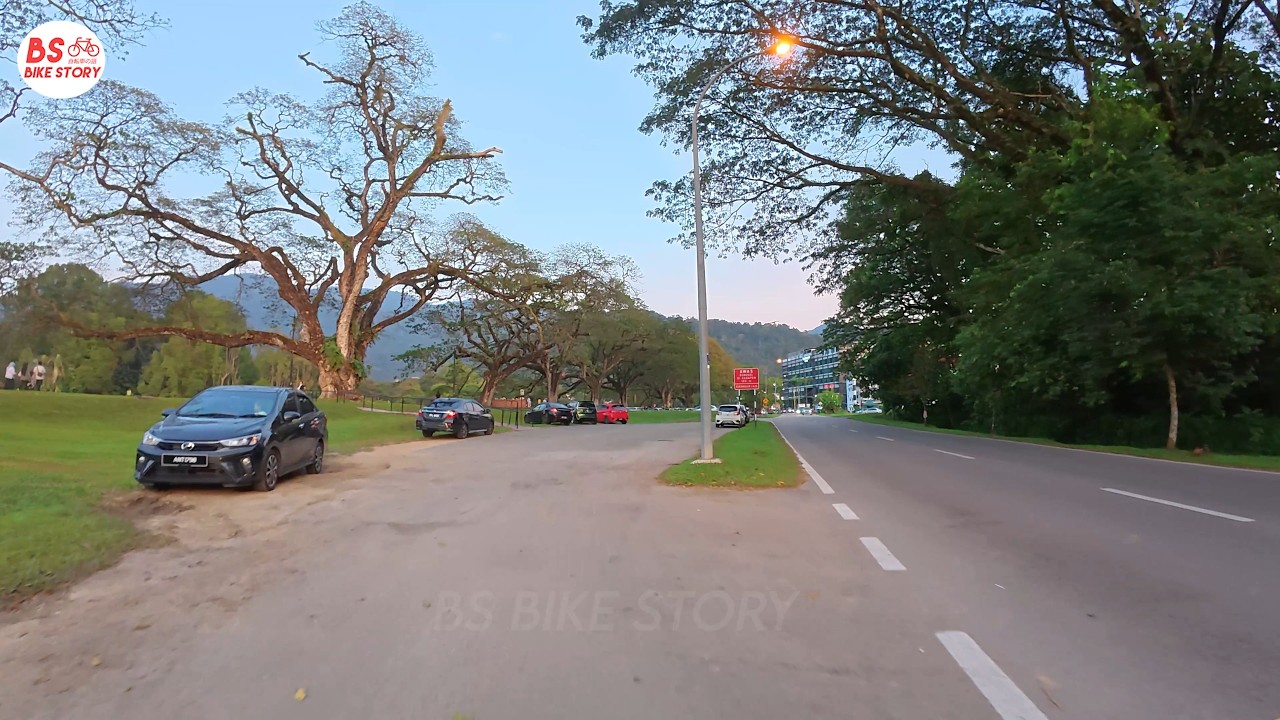 Taiping Car drive to Taiping raintree walk