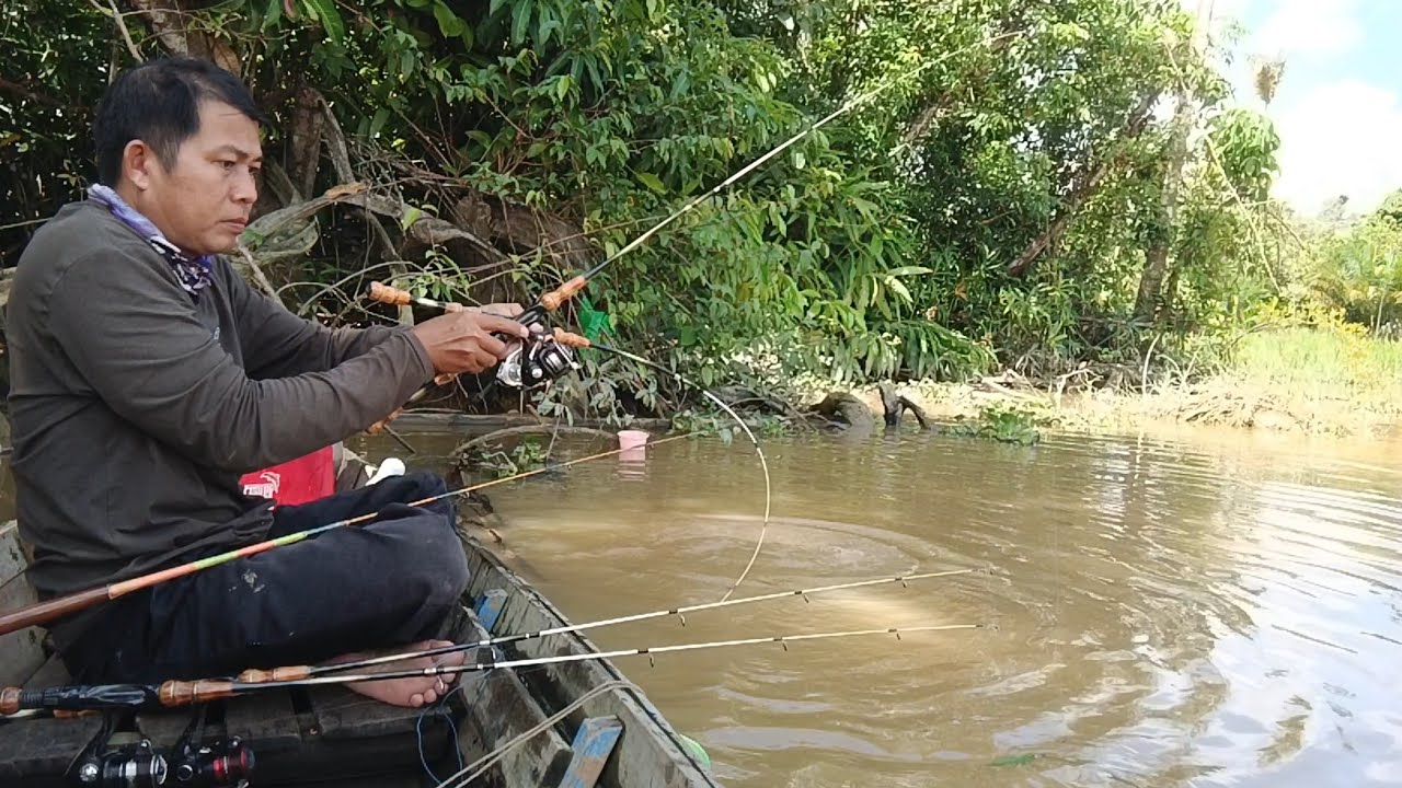 Memancing Udang Galah Cakar Biru Dan Tarikan MAUT Naga Api Sungai 