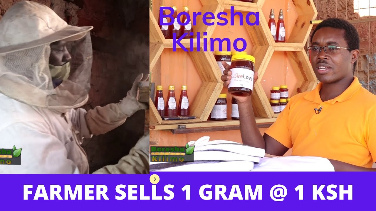 Best Honey is in Makueni : Statistician who excelled in Bee Farming. Boresha Kilimo. Part 1