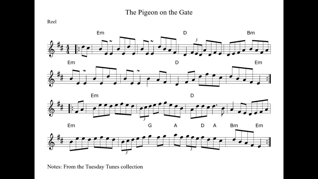 Pigeon on the Gate (Reel) on Irish tenor banjo for Rochester CCE Learners' Session