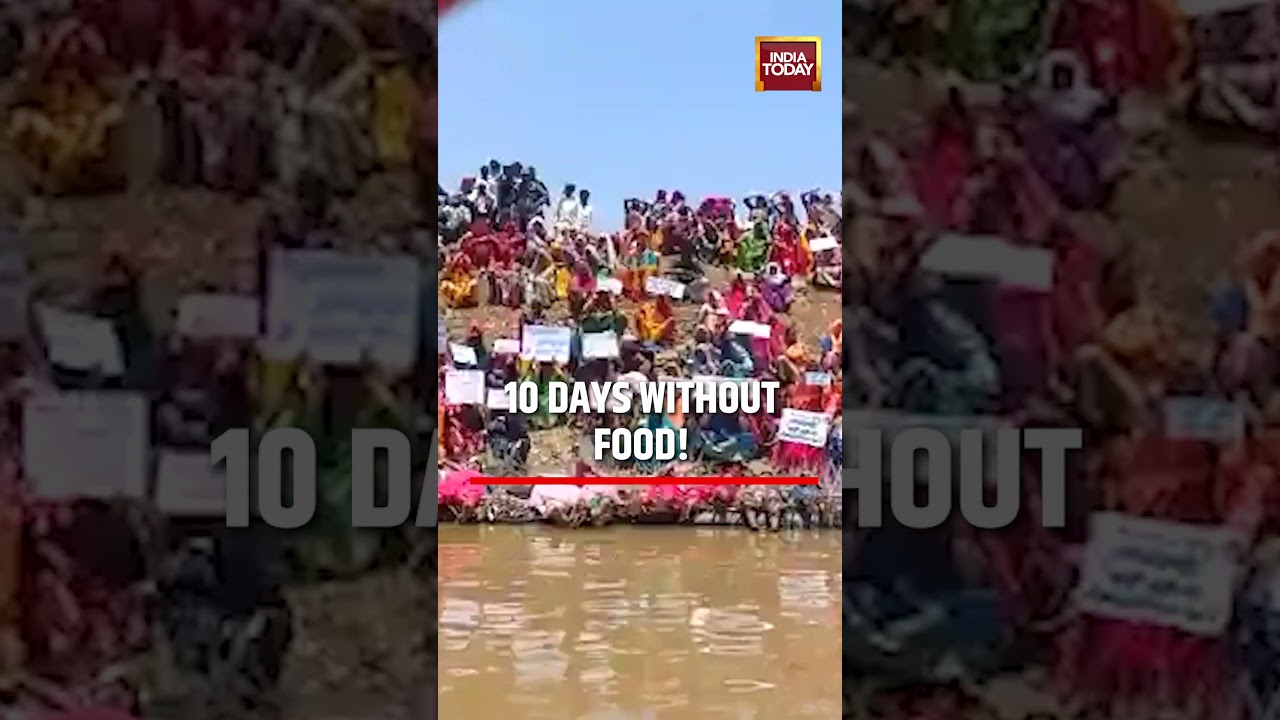 MP Farmers on 10-Day Hunger Strike Over Ken-Betwa Project Compensation Row #shortsviral #mpnews