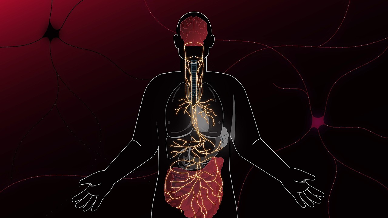 From Gut to Brain: A New Frontier in Parkinson’s Therapy - Anumantha Kanthasamy project