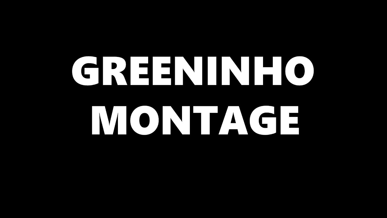 greeninho montage - VRF