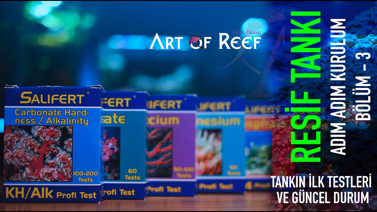 Resif Akvaryumu Kurulum Bölüm 3 - İlk Testler Ve Güncel Durum - Art Of Reef
