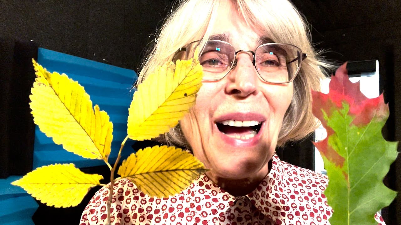 Overview of Vol 37 No. 3