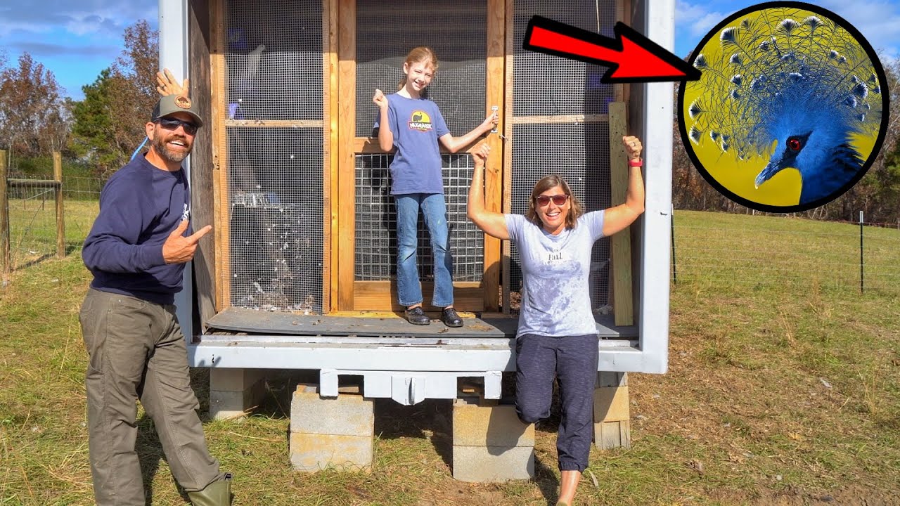 We've Been Keeping What Exotic Animal That Lives In This Coop A Secret!