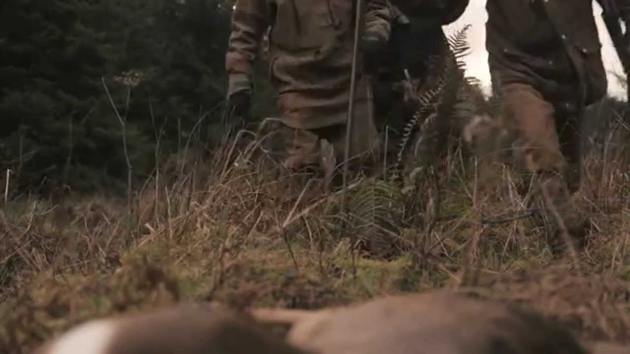 Gamekeeping at Newton Rigg HD