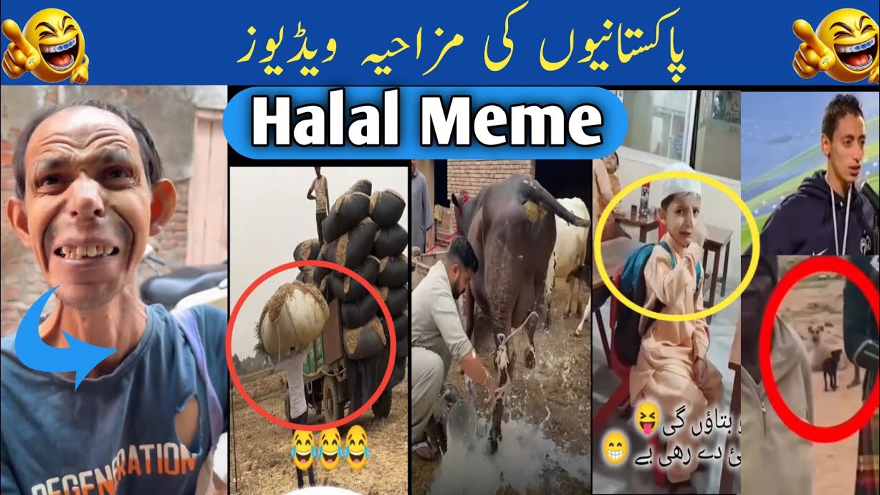 Pakistani Comedy Shorts | Trending Memes & Funny Desi Moments 2026