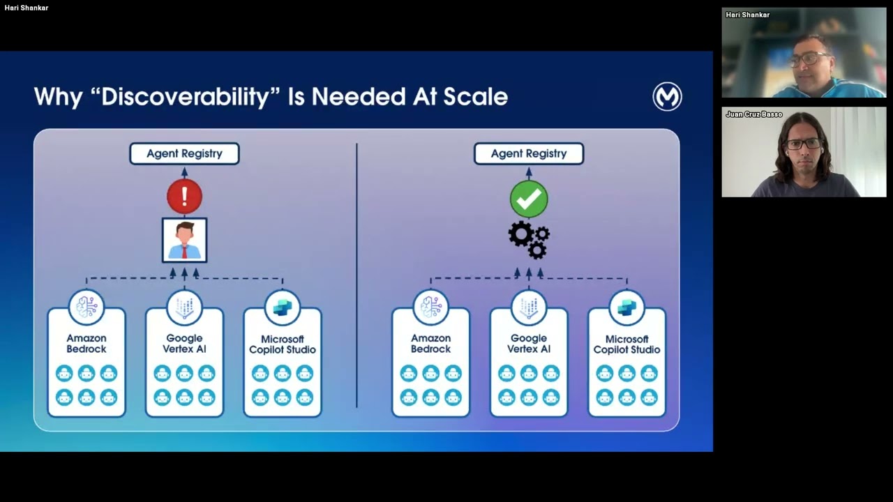 MuleSoft Agent Scanner