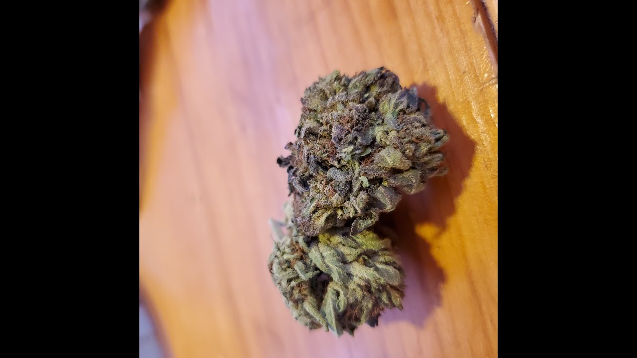 Sugar Shack Indica