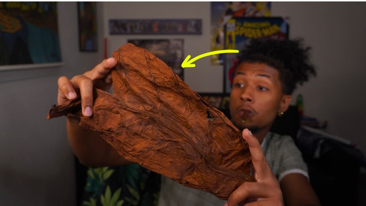 The Fronto Leaf.....Extra Spicy Sess