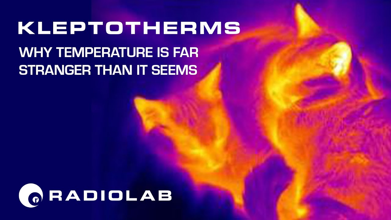 Kleptothermy: Why Animals Steal Heat | Radiolab Podcast