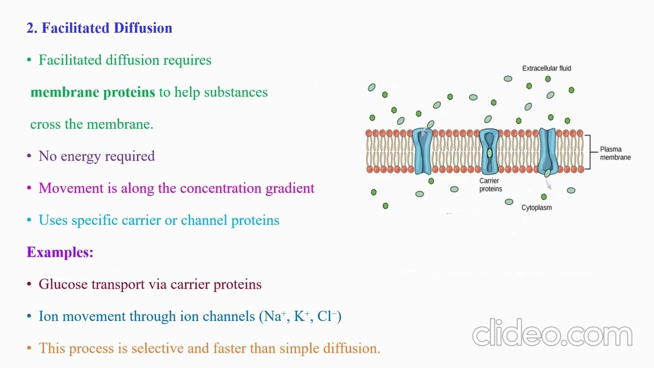 Passive transport