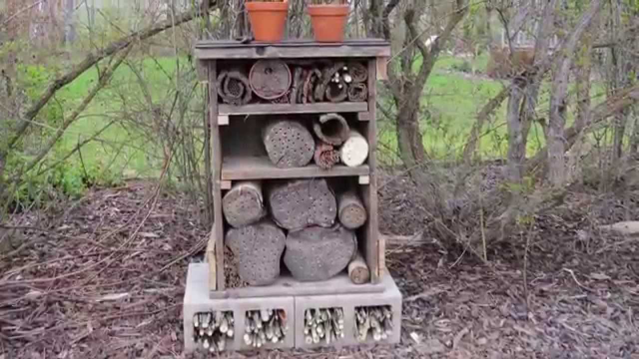 How to build an insect hotel
