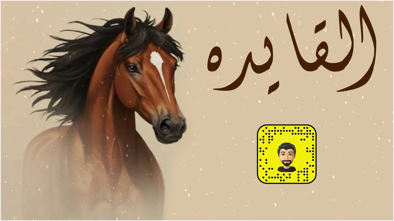 شيلة : القايده - كلمات السامر عيد السعود - سعد محسن ( حصرياً ) 2026