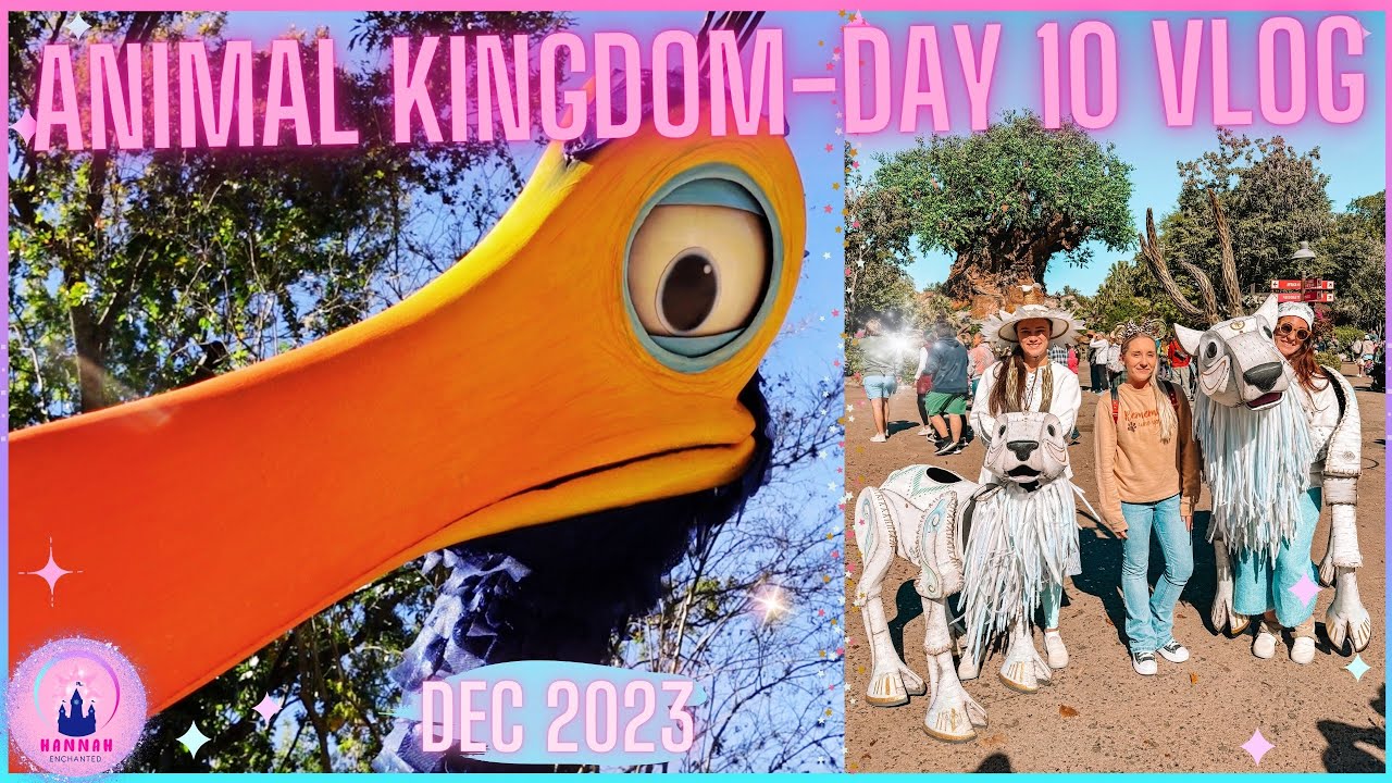 Walt Disney World Vlog Day 10 Animal Kingdom Lodge Pandora Attractions Art of Animation Theme Park