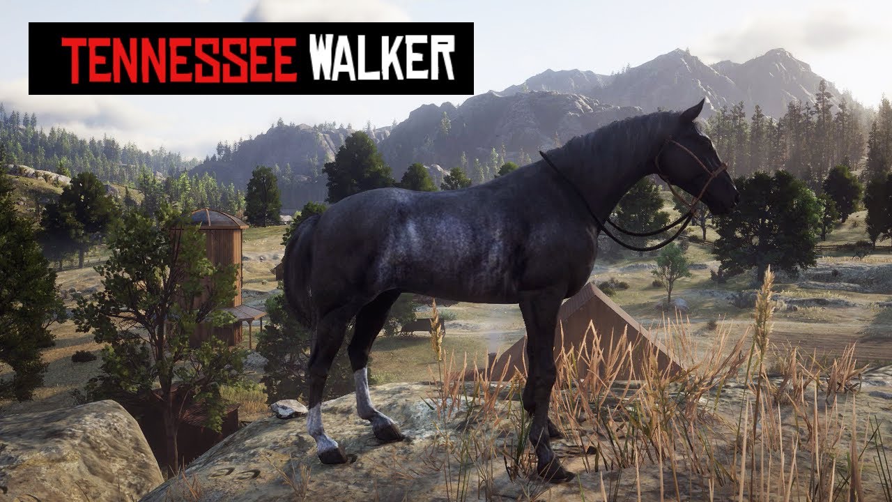 How to Get the Tennessee Walker Black Rabicano Horse in RDR2